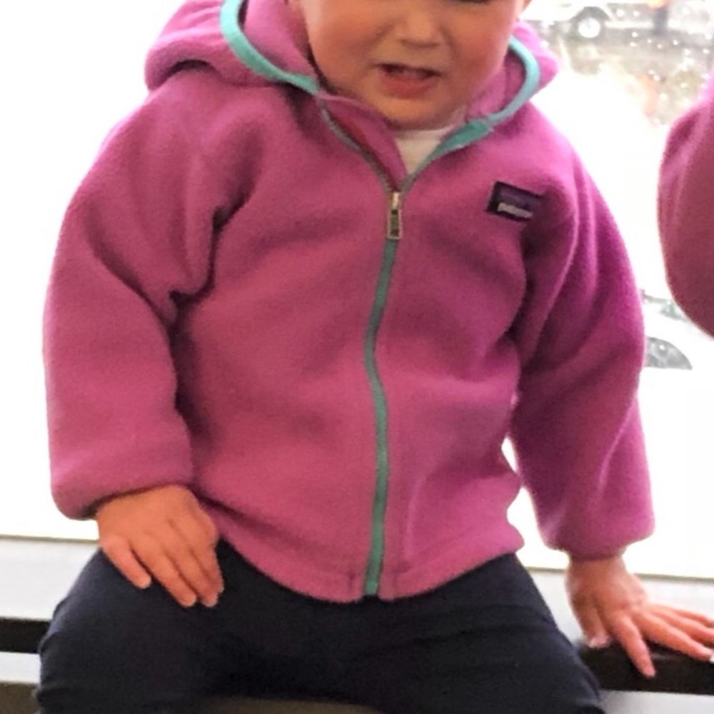 ISO Patagonia Baby Synchilla Cardigan
